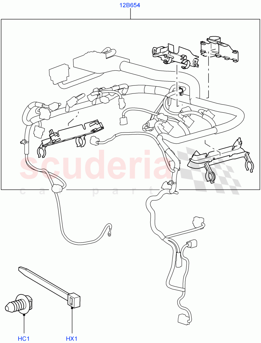 Wiring Clamps (Lion Diesel 2.7 V6 (140KW)) ((V) TO9A999999) of Land Rover Land Rover Range Rover Sport (2005-2009) [2.7 Diesel V6]