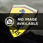 827434 RH DOOR PERIMETER SEAL