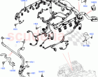 Engine Harness (Nitra Plant Build) (5.0 Petrol AJ133 DOHC CDA) ((V) FROMM2000001)