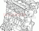 Service Engine And Short Block (2.2L DOHC EFI TC DW12, 2.2L CR DI 16V Diesel)
