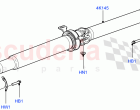 Drive Shaft - Rear Axle Drive ((V) FROMAA000001)