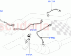 Exhaust System (Exhaust System Sensors) (5.0L OHC SGDI NA V8 Petrol - AJ133)