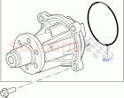 Water Pump (3.6L V8 32V DOHC EFi Diesel Lion) ((V) FROM7A000001, (V) TO9A999999)