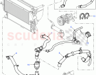 Radiator Hoses ((V) FROM7A000001, (V) TOBA999999)