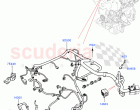 Engine Harness (Nitra Plant Build) (3.0 V6 Diesel) ((V) FROMK2000001)