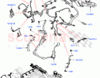 Engine Harness (2.0L I4 DSL MID DOHC AJ200, 2.0L I4 DSL HIGH DOHC AJ200)