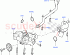 Oil Pump (3.0L DOHC GDI SC V6 PETROL)