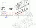Emission Control - Crankcase (2.0L AJ21D4 Diesel Mid) ((V) FROMMA000001)