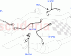 Exhaust System (Exhaust System Sensors) (3.0L DOHC GDI SC V6 PETROL, ULEV II Requi…