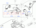Thermostat/Housing & Related Parts (4.4L DOHC DITC V8 Diesel)
