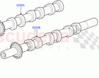 Camshaft (Lion Diesel 2.7 V6 (140KW)) ((V) TO9A999999)