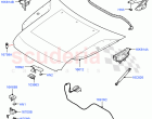 Hood And Related Parts
