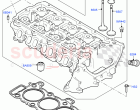 Cylinder Head (2.0L AJ20D4 Diesel Mid PTA, Itatiaia (Brazil)) ((V) FROMLT000001)