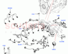 Engine Harness (Solihull Plant Build) (2.0L I4 High DOHC AJ200 Petrol) ((V) FROMJA…
