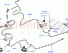 Fuel Lines (Front) (5.0L OHC SGDI SC V8 Petrol - AJ133) ((V) FROMAA000001)