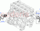 Thermostat/Housing & Related Parts (2.0L 16V TIVCT T/C Gen2 Petrol, Halewood (UK),…