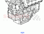 Service Engine And Short Block (3.6L V8 32V DOHC EFi Diesel Lion) ((V) FROMAA00000…