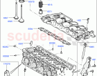 Cylinder Head (2.2L DOHC EFI TC DW12, 2.2L CR DI 16V Diesel)