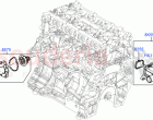 Thermostat/Housing & Related Parts (2.0L 16V TIVCT T/C 240PS Petrol)
