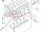 Cylinder Block And Plugs (2.4L Duratorq-TDCi HPCR (140PS) -Puma) ((V) FROM7A000001…