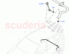 Rear Cross Member & Stabilizer Bar (Stabilizer Bar) (Halewood (UK))