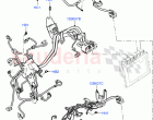 Engine Harness (LH Side) (4.4 V8 Turbo Petrol (NC10))