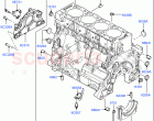 Cylinder Block And Plugs (2.2L DOHC EFI TC DW12, 2.2L CR DI 16V Diesel)