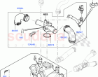 Thermostat/Housing & Related Parts (4.4L DOHC DITC V8 Diesel) ((V) FROMBA000001)