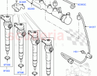 Fuel Injectors And Pipes (2.0L I4 DSL MID DOHC AJ200, Itatiaia (Brazil), 2.0L I4 D…