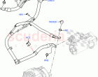 Engine Harness (Starter Motor) (4.4 V8 Turbo Petrol (NC10))