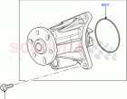 Water Pump (Main Unit) (3.0L 24V V6 Turbo Diesel Std Flow, 3.0L 24V DOHC V6 TC Die…