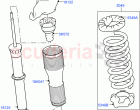 Rear Springs And Shock Absorbers (Itatiaia (Brazil)) ((V) FROMGT000001)