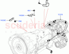 Transmission Harness