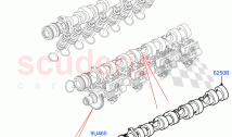 Timing Gear, Camshafts & Drive