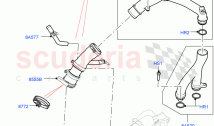 Thermostat/Housing & Related Parts (5.0 Petrol AJ133 DOHC CDA) ((V) FROMKA000001)
