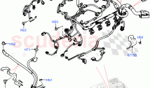 Engine Harness (Nitra Plant Build) (5.0 Petrol AJ133 DOHC CDA) ((V) FROMM2000001)