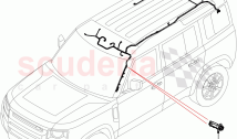 Electrical Wiring - Body And Rear (Roof) ((V) FROMP2000001)