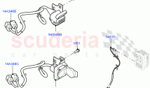Electrical Wiring - Body And Rear (Towing)