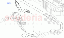 Heater Hoses (Front) (3.0 V6 Diesel, With Fuel Fired Heater) ((V) FROMKA000001)