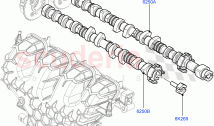 Camshaft (2.0L 16V TIVCT T/C 240PS Petrol, Changsu (China)) ((V) FROMEG000001)