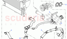 Radiator Hoses ((V) FROM7A000001, (V) TOBA999999)