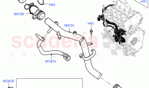 Thermostat/Housing & Related Parts (2.0L I4 High DOHC AJ200 Petrol, 2.0L I4 Mid DO&hellip;