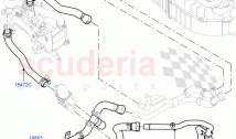 Heater Hoses (Front) (5.0L OHC SGDI SC V8 Petrol - AJ133) ((V) TOHA999999)