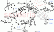 Engine Harness (2.0L I4 Mid DOHC AJ200 Petrol, 2.0L I4 High DOHC AJ200 Petrol) ((V&hellip;