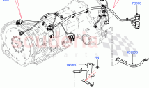Electrical Wiring - Engine And Dash (Transmission)