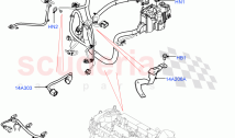 Electrical Wiring - Engine And Dash (Engine) (2.0L 16V TIVCT T/C 240PS Petrol, Cha&hellip;