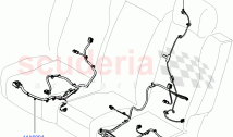 Wiring - Seats (Rear Seats)