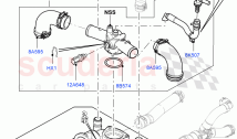 Thermostat/Housing & Related Parts (4.4L DOHC DITC V8 Diesel)