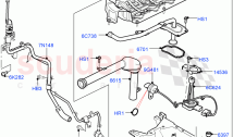 Oil Pan/Oil Level Indicator (4.4L DOHC DITC V8 Diesel)