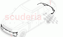 Electrical Wiring - Body And Rear (Bumper)